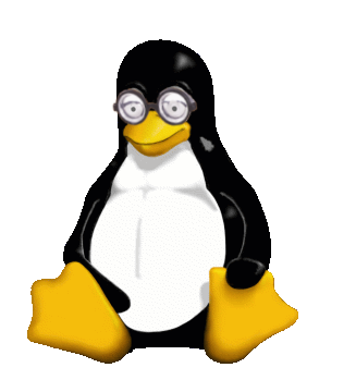 Our beloved Tux nerd